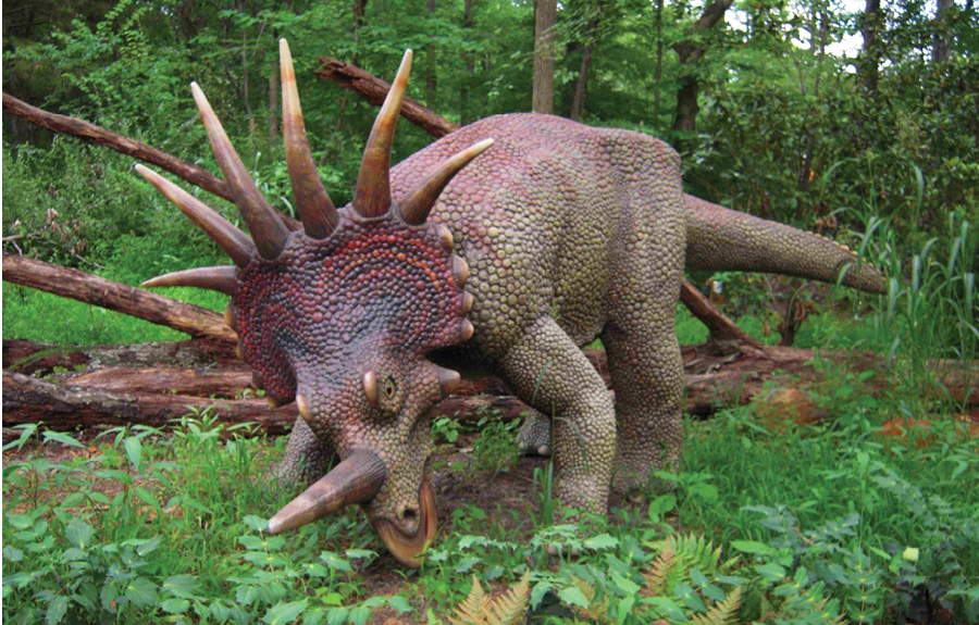 Life sized model styracosaurus in a zoo dinosaur exhibit
